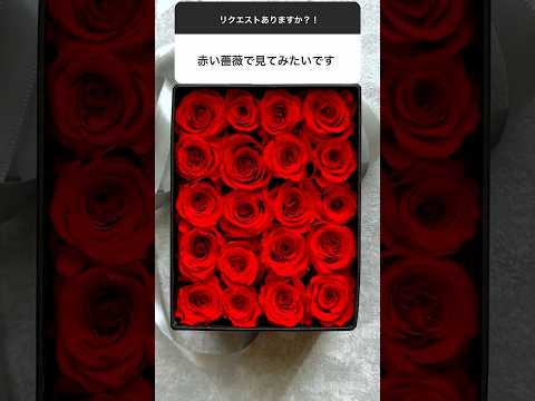 今回のテーマ「赤い薔薇」#flowers #rose #redrose