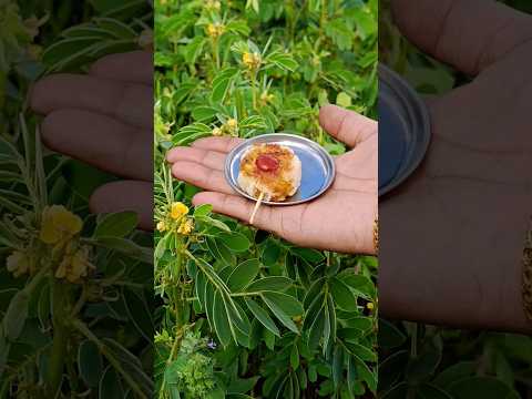 Delicious Bread Lollipop😋😍#music#breadrecipe#shorts #miniflames#Breadlollipop#breadrolls#yummyfood