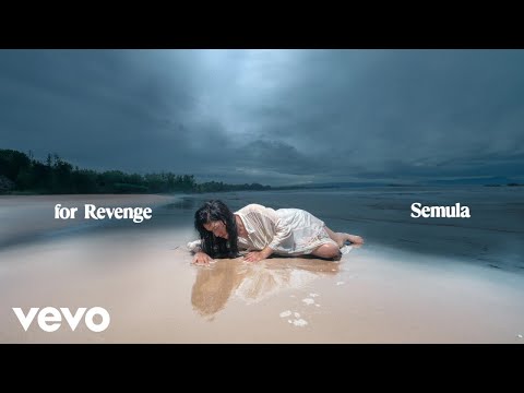 for Revenge - Semula (Lyric Visualizer)