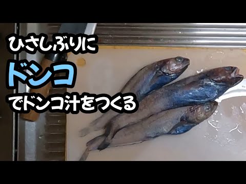 ひさしぶりにドンコでドンコ汁をつくる🐟