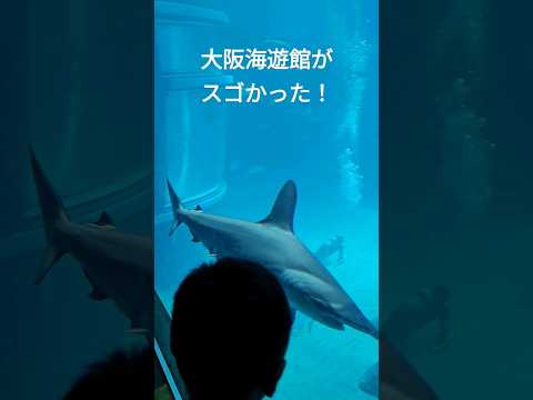 大阪の巨大水族館、海遊館がスゴかった！ #水族館 #海遊館 #大阪