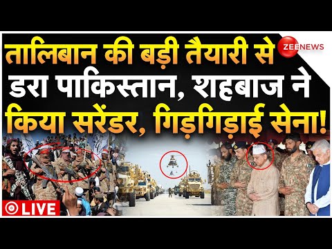 Pakistan Taliban War Breaking News LIVE : तालिबान के आगे पाकिस्तान ने कर दिया सरेंडर! Afganistan