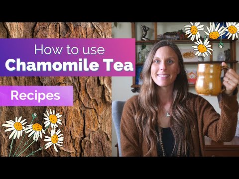 Uses of Chamomile Tea - 4 fun recipes