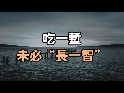 為什麼“吃一塹”卻未必“長一智”  我們為什麼要選擇做好人  為什麼我要勸你學會“認慫”。#吃一塹 #i愛生活life