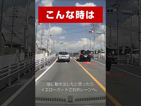 警察が見ていたら捕まります #shorts