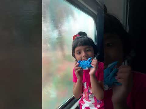 Ananya - train journey #train #ananya #shorts