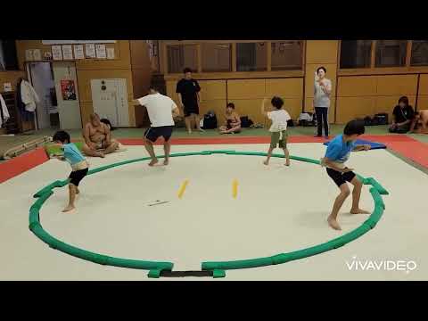 【わんぱく相撲】綱引き😁〜トレーニング〜小学生申し合い❗️稽古様子💪2024.7.14(日)【五十嵐相撲倶楽部】