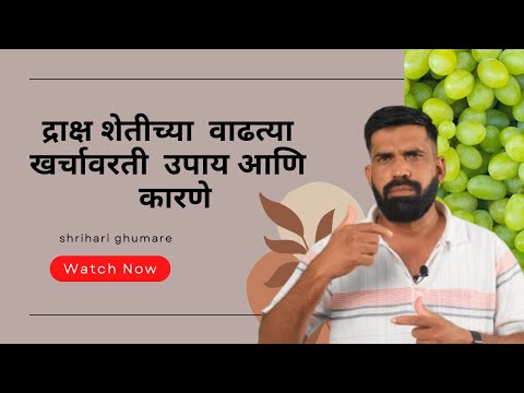 shrihari ghumare  |द्राक्ष शेतीच्या  वाढत्या  खर्चावरती  उपाय आणि  कारणे | Ep :1