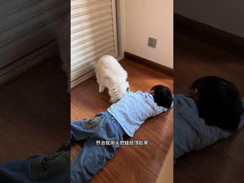 我家猫带娃又立功了，比亲妈还懂… #猫咪带娃 #我和我的猫