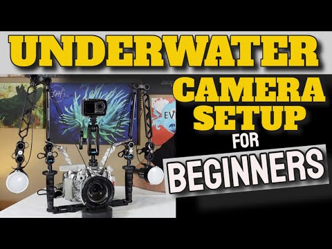 Underwater Camera Setup for Beginners (The anatomy of a camera system!)