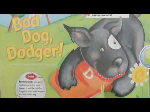 Bad Dog, Dodger Part 1 - Grade 2 - Reading Street - The Stepping Stone Kids