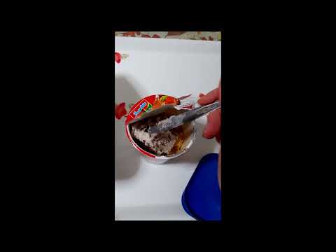 Oreo Ice cream + stir fry cup noodles challenge by stealthy_mouse