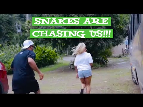 Ep 2: SNAKES on the LOOSE!