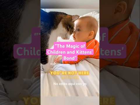 "The Magic of Children and Kittens' Bond" #KidsAndKittens#PureFriendship#MagicalBonds #animals