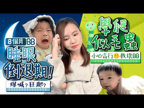 【BB發展】8個月BB加固微調！突然進入睡眠倒退期 😰爆喊唔願瞓差滿電..點解決？QQ識爬了🐛姿勢超逗趣！小手肌靈活度急升🖐🏻要注意啲咩？BB開始有脾氣？ ｜成長發展｜育兒｜《跟住小編做媽咪》