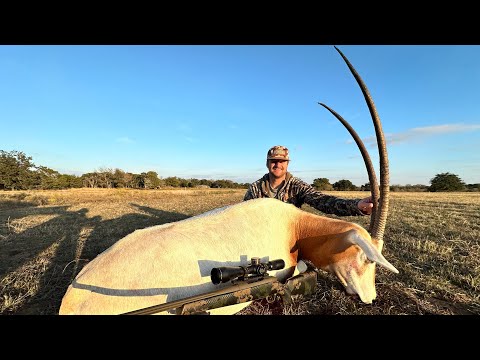 A Texas ORYX Hunt