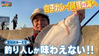 【この冬関西で最もカレイが釣れる場所】100%白子ぱんぱん‼︎大阪湾最後の聖地「岸和田沖一文字」  へ　デカいカレイを釣りたい人必見♡ R6.12.25 大阪府岸和田市【大輔のとことん投げ釣り塾】