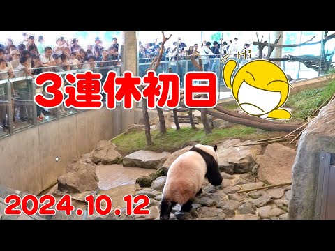 3連休だよ🎉パンダ速報🐼今日はどうなの？ピコン姉妹🤗