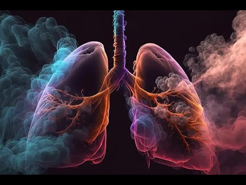 Legendary Lungs - Sapien medicine