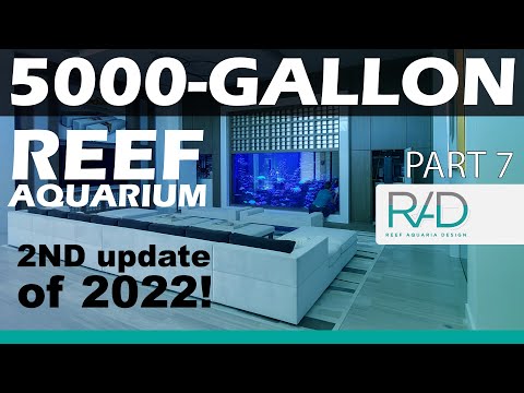 5000 GALLON REEF AQUARIUM IN FORT LAUDERDALE, FLORIDA BY REEF AQUARIA DESIGN PART 7