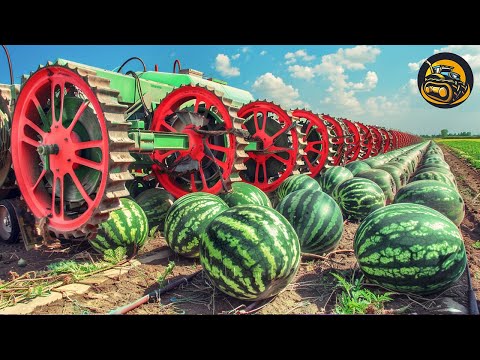 The Most Modern Agriculture Machines That Are At Another Level , How To Watermelons In Farm