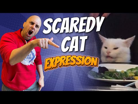 Expression: Scaredy Cat