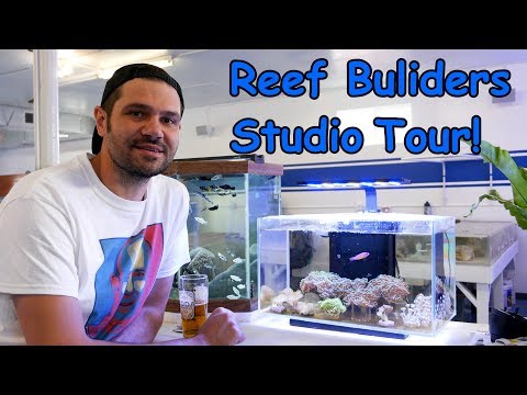 Reef Builders Studio Tour