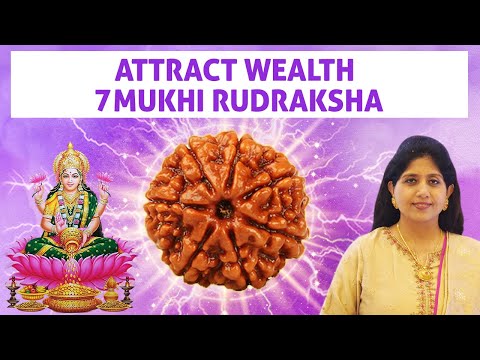 7 Mukhi Rudraksha Benefits | Attract Wealth Abundance & Luck With Saat Mukhi Rudraksha