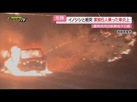 【新東名でイノシシと衝突】事故車は炎上も乗員６人は逃げ無事…警察は野生動物との衝突に注意呼びかけ(静岡)