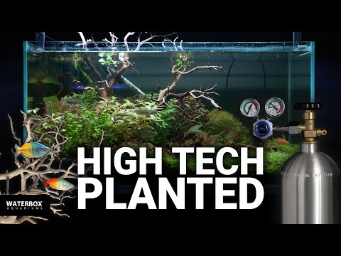 High Tech Aquascaping your dream aquarium A-Z Walkthrough