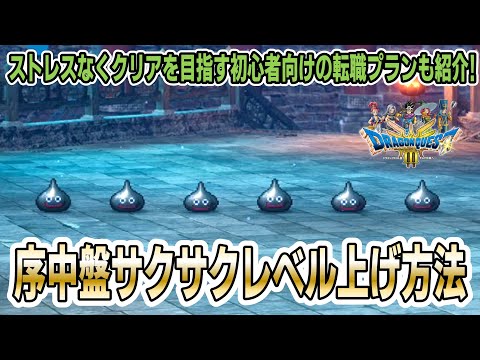 【DQ3リメイク】ダーマ神殿到着直後の効率レベル上げ方法を実践紹介！シンプルで効果的な転職プランも！【ドラゴンクエスト3HD-2D】