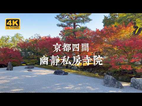 【Kyoto Solo Trip】Embracing Tranquility! Enjoying Four Secluded Temple Gardens in Kyoto