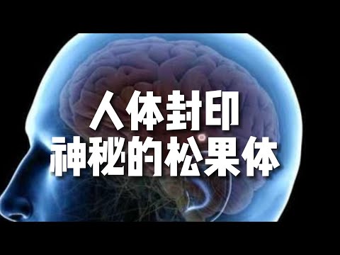 人体封印 松果体 神性灵魂根性？#小宇宙儿#的修行频道