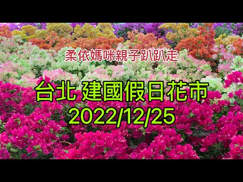 台北 建國花市 2022/12/25