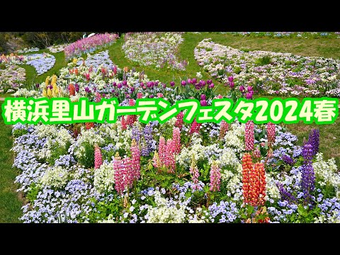 【4K】『華やぎの丘』横浜里山ガーデンフェスタ2024春