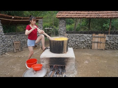 135 Days Build a Ladder a Road - Harvesting Honey Beehive by Hands - Cook Corn to Make Beer