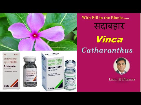 Vinca Pharmacognosy DPharm 1st year ER20-13T || Vinca Alkaloids | Catharanthus | Cancer Treatment