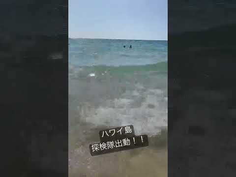 ハワイ島探検隊出動するよ♪