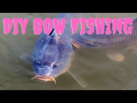 DIY Bow Fishing