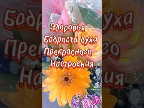 Хорошего дня!! Прекрасного настроения!!)))