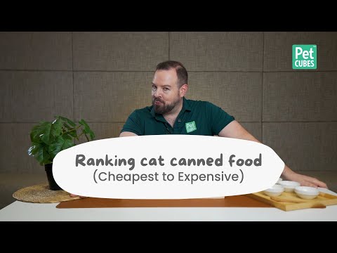 What is in canned cat food | Ranking different canned cat food