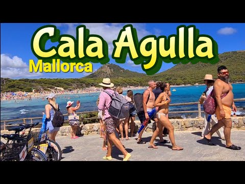 MALLORCA ❤️ Cala Agulla 🌴 Cala Ratjada ⛱️  Spain 🇪🇸 Beach walk tour