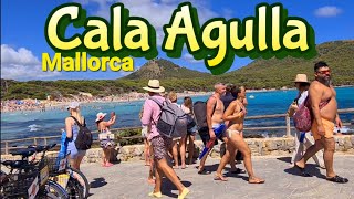 MALLORCA ❤️ Cala Agulla 🌴 Cala Ratjada ⛱️  Spain 🇪🇸 Beach walk tour