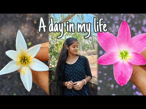 Morning to Night Routine *Holiday Edition* || #vlog #kannada @UdupiGirlVlogs2810