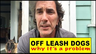 OFF LEASH DOGS - Why It's Such a Danger - Dog Training Video - Robert Cabral