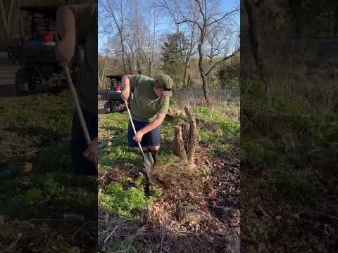 Spring Cleanup with My Boys