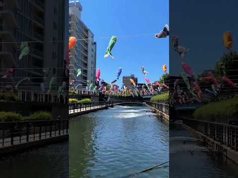 Tokyo Skytree Koinobori Festival