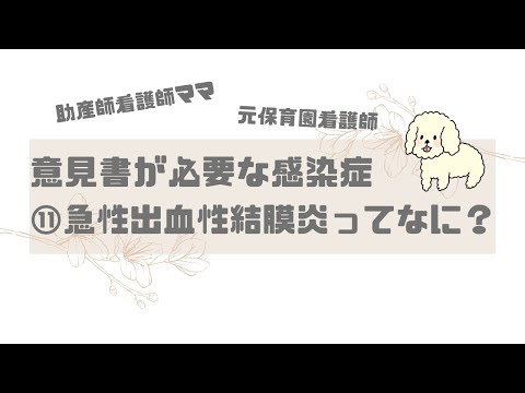 【保育園看護師】意見書が必要な感染症⑪急性出血性結膜炎ってなに？