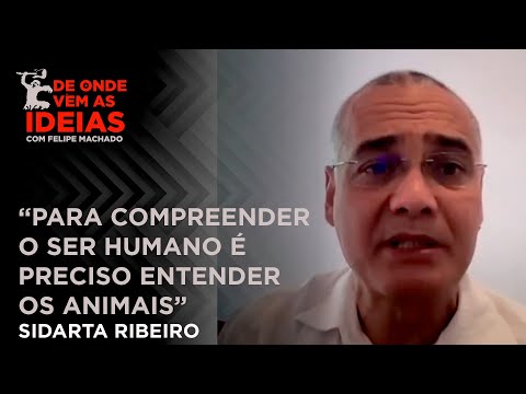 Relação do comportamento animal e do ser humano - De Onde Vêm as Ideias | Sidarta Ribeiro [Cortes]