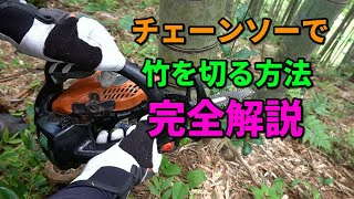 チェーンソーを使って竹を切る方法を解説　密度の高い竹林編